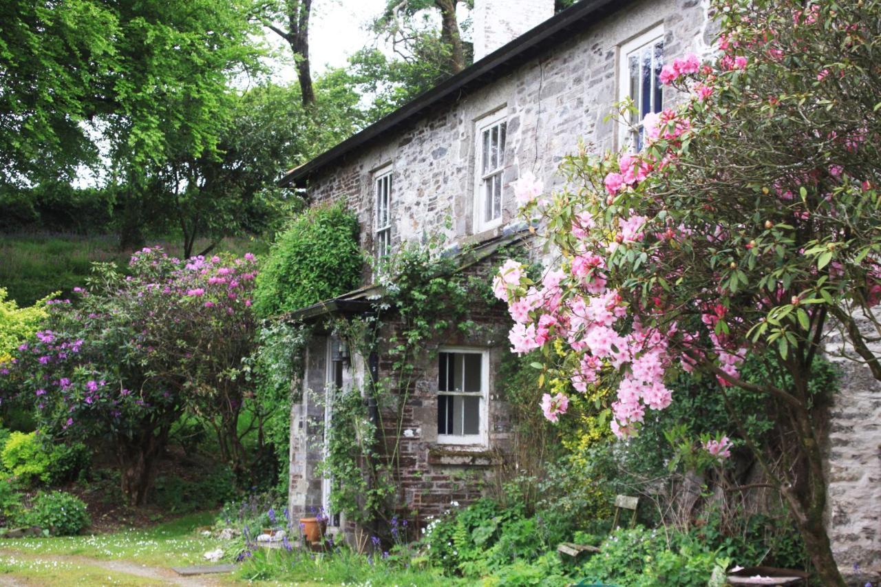 Devon Country Paradise Tavistock  Buitenkant foto