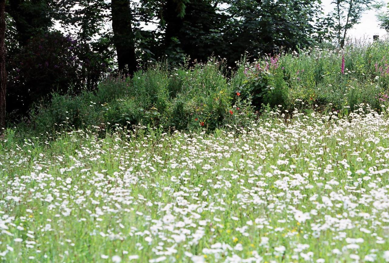 Devon Country Paradise Tavistock  Buitenkant foto