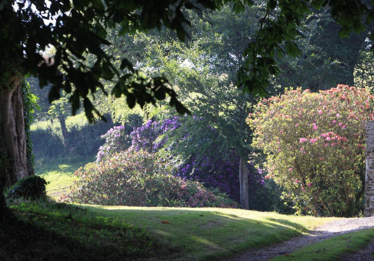 Devon Country Paradise Tavistock  Buitenkant foto