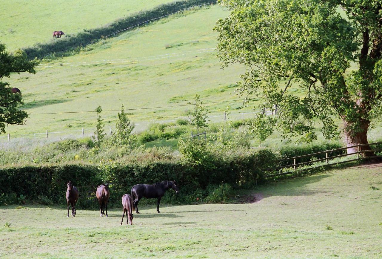 Devon Country Paradise Tavistock  Buitenkant foto