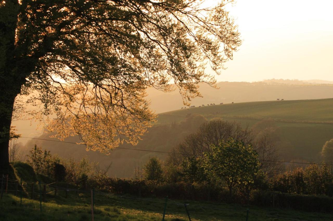 Devon Country Paradise Tavistock  Buitenkant foto