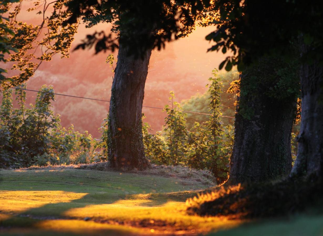 Devon Country Paradise Tavistock  Buitenkant foto