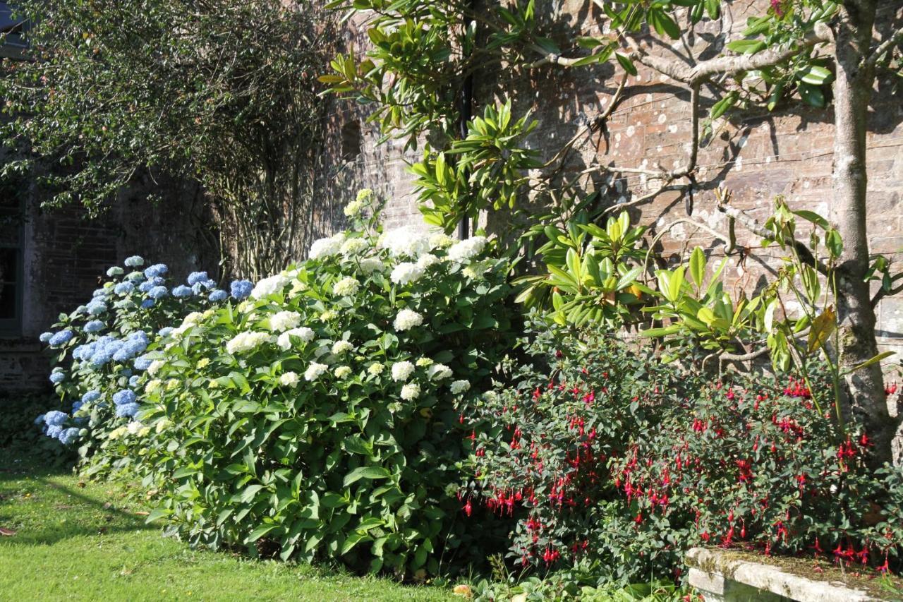 Devon Country Paradise Tavistock  Buitenkant foto