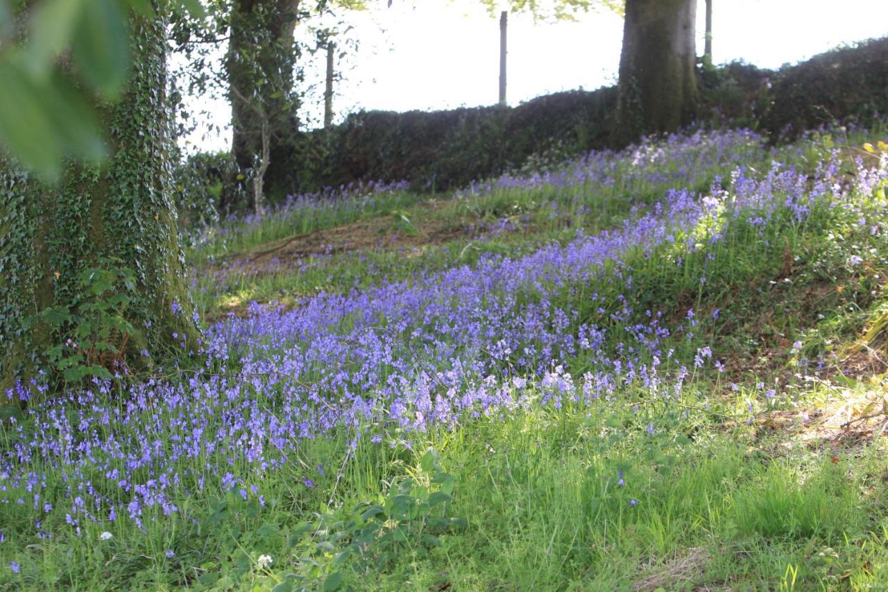 Devon Country Paradise Tavistock  Buitenkant foto