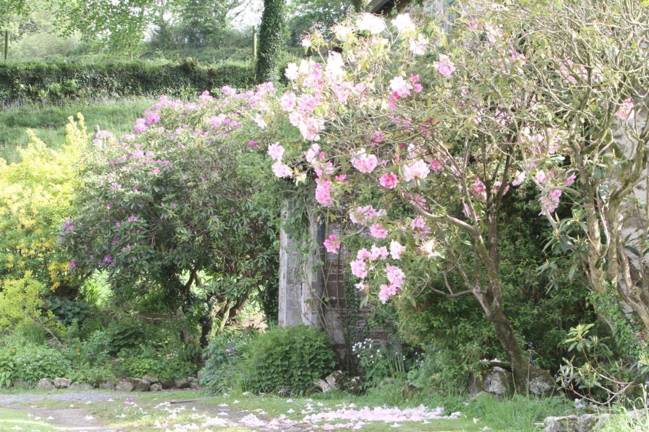 Devon Country Paradise Tavistock  Buitenkant foto