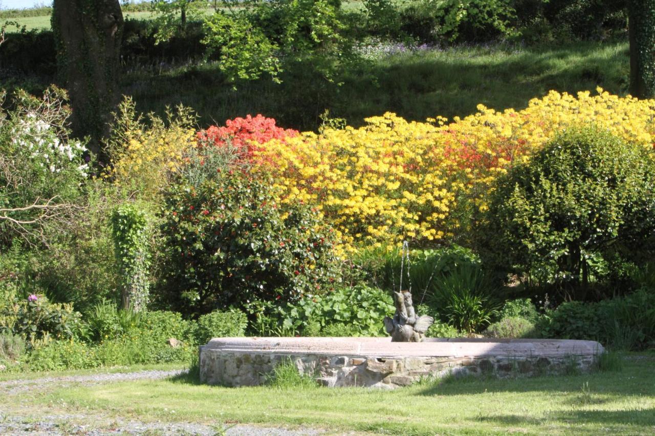 Devon Country Paradise Tavistock  Buitenkant foto